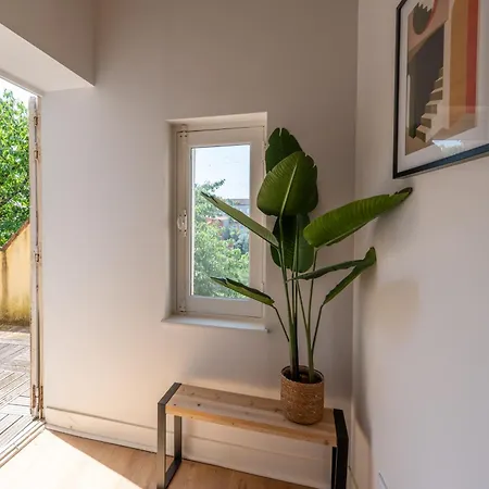 Apartmán La Terrasse De La Mandoune - T3 Montauban