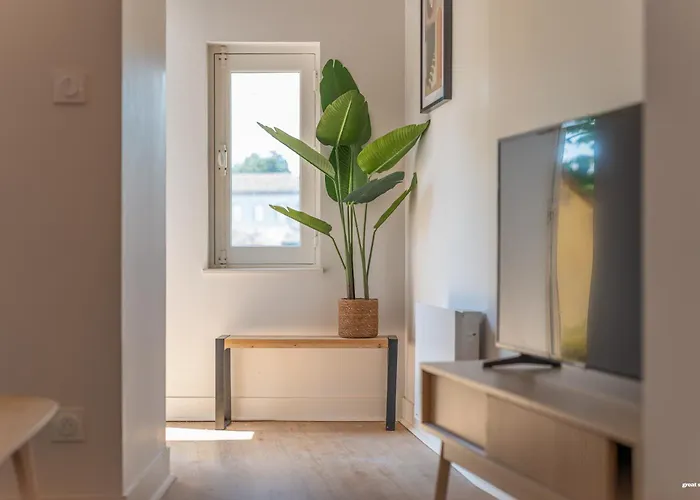 La Terrasse De La Mandoune - T3 * Montauban